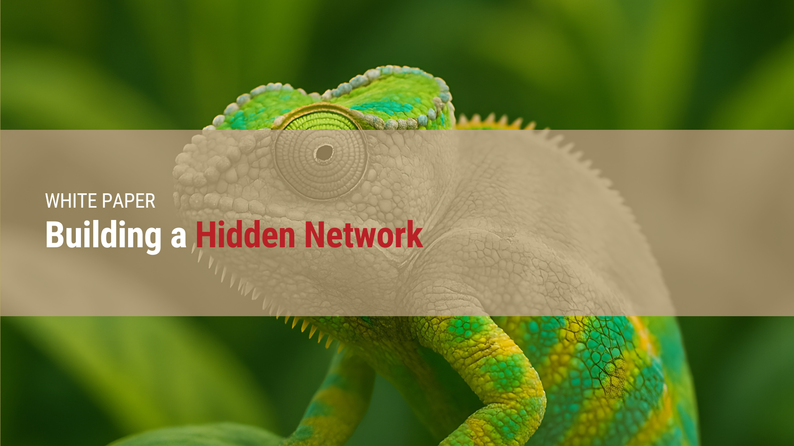 Building a Hidden Network