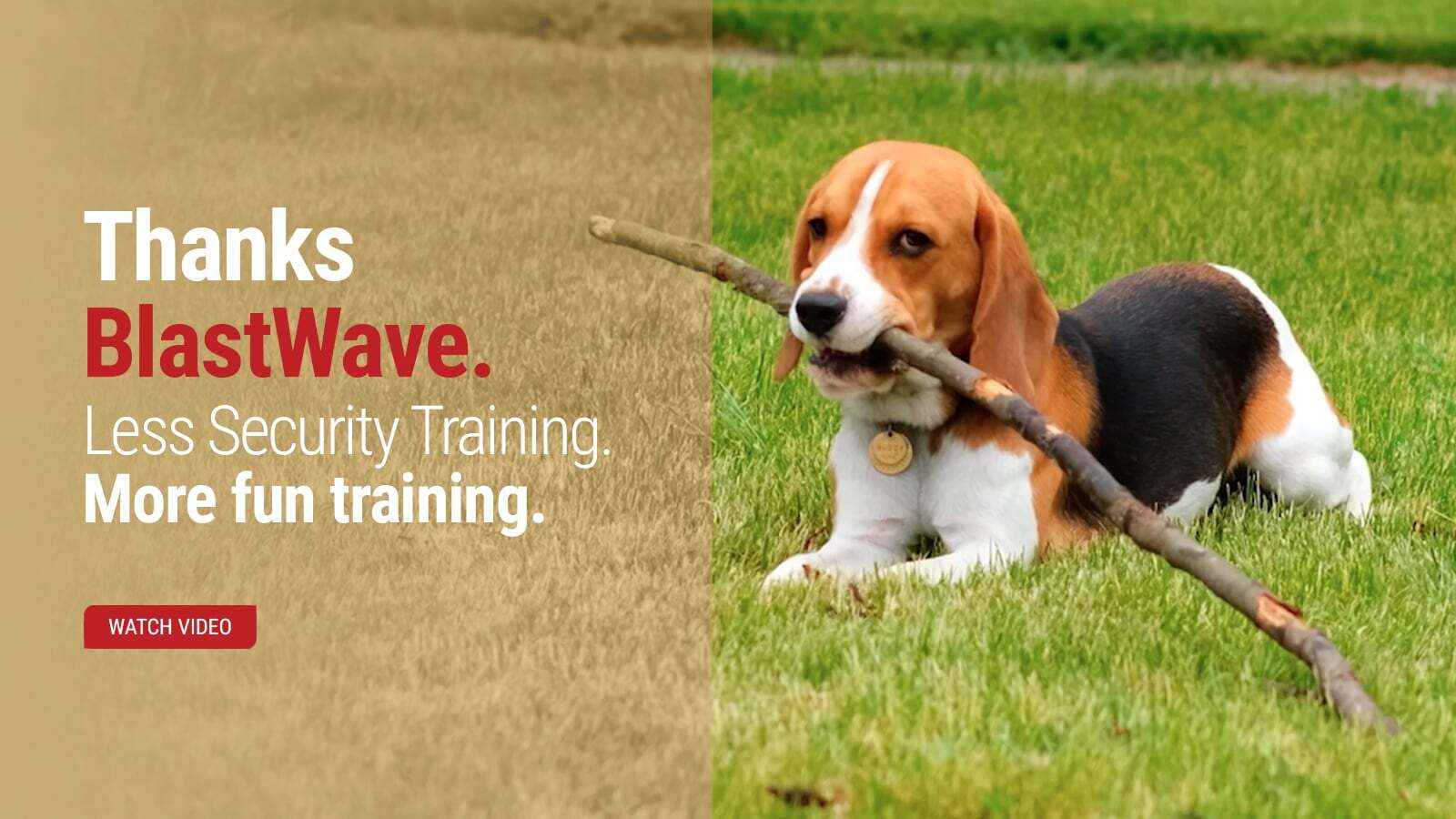 Thanks BlastWave. More fetch, less phishing.