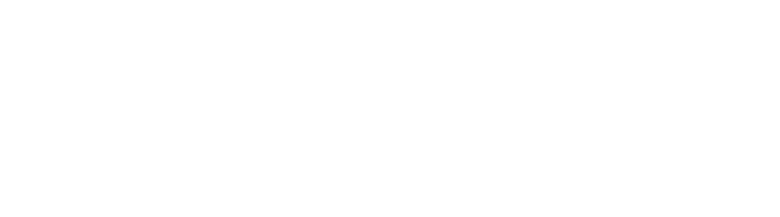Vector Photonics