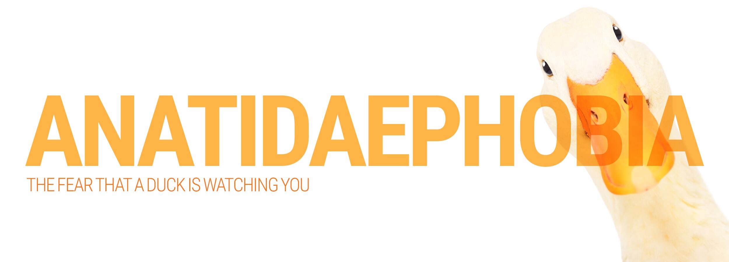 Anatidaephobia: The fear that a duck is watching you